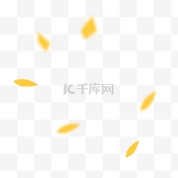 漂浮树叶黄色图片_黄色漂浮秋季树叶叶子