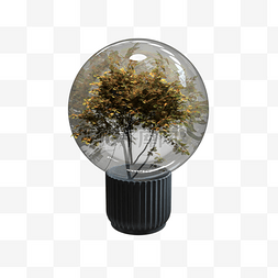 植物玻璃球图片_花盆上的玻璃球