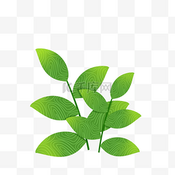 小清新植物叶片图片_绿色植物叶子手绘透明底免抠