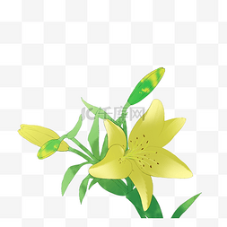 春天绿叶花图片_漂亮的黄色花朵插画