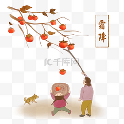 传统节日树图片_霜降节气手绘摘柿子