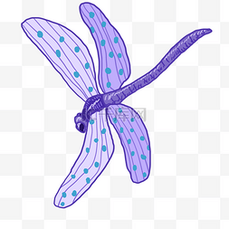 蓝色翅膀蜻蜓图片_天空蓝色飞翔蜻蜓