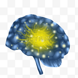 人体系统大脑人脑