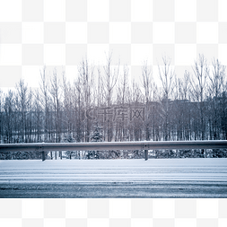 地面积雪图片_冬季路边的小树林