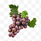 一串新鲜葡萄