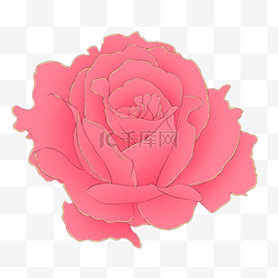 粉红色装饰卡通图片_盛开的粉红色花朵插画