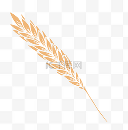 农作物麦穗麦子