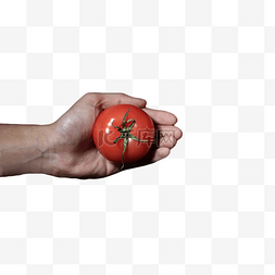 西红柿蔬菜纯天然