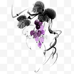水墨紫色的葡萄插画