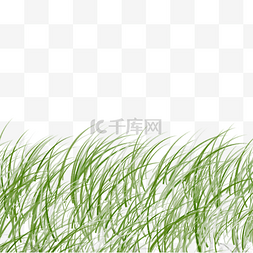 绿色的小草免抠图