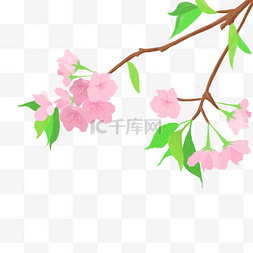 唯美樱花树粉色樱花