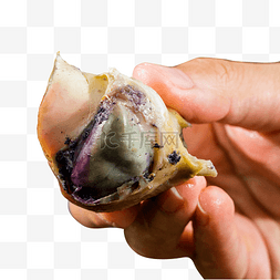海鲜螺肉海螺肉