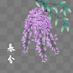 24节气植物图片_春分节气植物紫丁香