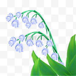 蓝色铃兰花朵图片_蓝色铃兰花花枝