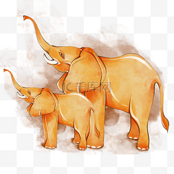 手绘水彩夏天橙色大象