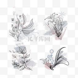 莫兰迪植物插画图片_植物花草莫兰迪色