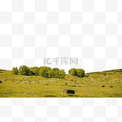 青山露水图片_内蒙古公主湖景区