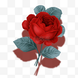 一只红玫瑰