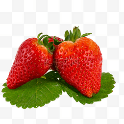 大桶草莓图片_新鲜水果鲜草莓