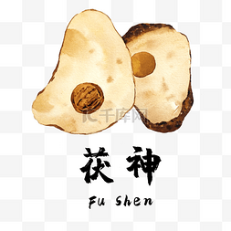 手绘彩色中药茯神装饰画