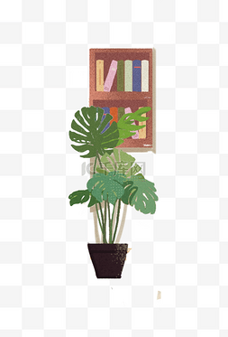 一盆图片_书柜和一盆植物