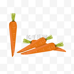 蔬菜兔子红色胡萝卜