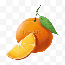 新鲜水果橙子插画