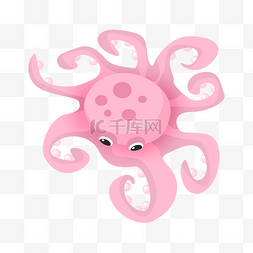 软体生物章鱼