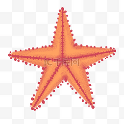 刻章指纹五角星图片_橙色海星