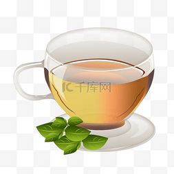 茶叶玻璃茶杯