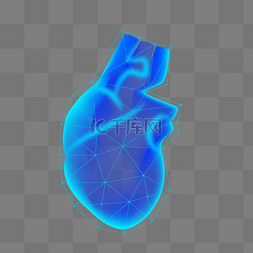 人体结构器官图片_人体心脏器官