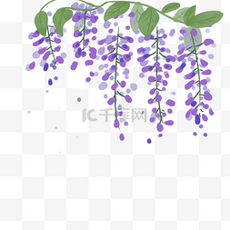 紫藤花长廊图片_紫色紫藤花