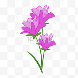 紫色唯美花朵图片_紫色唯美花朵插图
