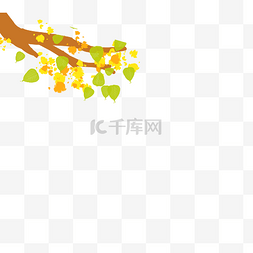 秋季桂花树