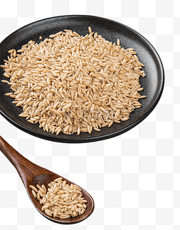 粮食农产品图片_燕麦小麦粮食