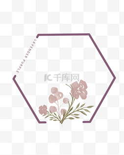 薰衣草紫色花朵多边形边框
