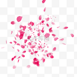 粉色飘落樱花花瓣素材