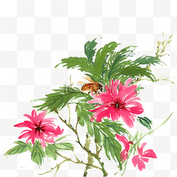 蜜蜂与花卉