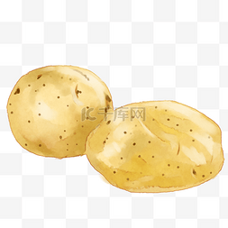 土豆tudou图片_蔬菜土豆