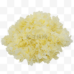 米黄色花束