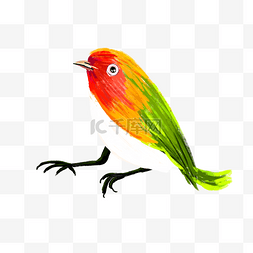 彩色创意纹理小鸟元素