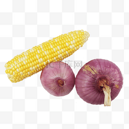 紫色玉米图片_玉米洋葱蔬菜组合