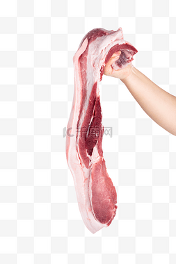 鲍鱼鲜肉图片_猪肉食材五花肉
