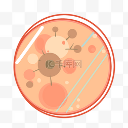红细胞病毒病菌