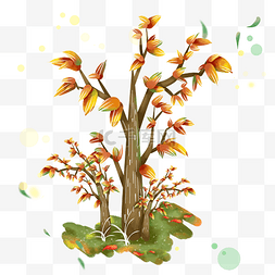 秋树枫叶图片_橙黄色秋季植物