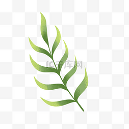 小清新植物叶片图片_绿色植物叶子手绘透明底免抠