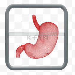 科技扫描人体器官胃部