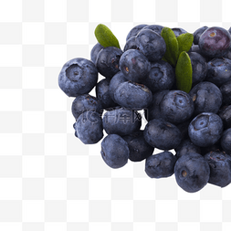 饭后水果蓝莓好吃