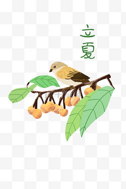 立夏中国风麻雀装饰图