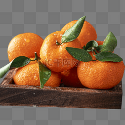 水果砂糖橘橘子